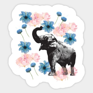 Elephant Floral Sticker